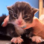 click to see details about Winni